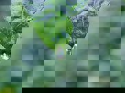 unsplash-525d659117c91-1