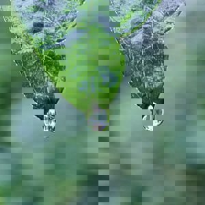 unsplash-525d659117c91-1