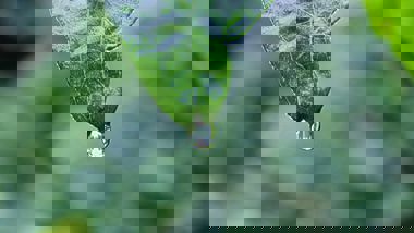 unsplash-525d659117c91-1